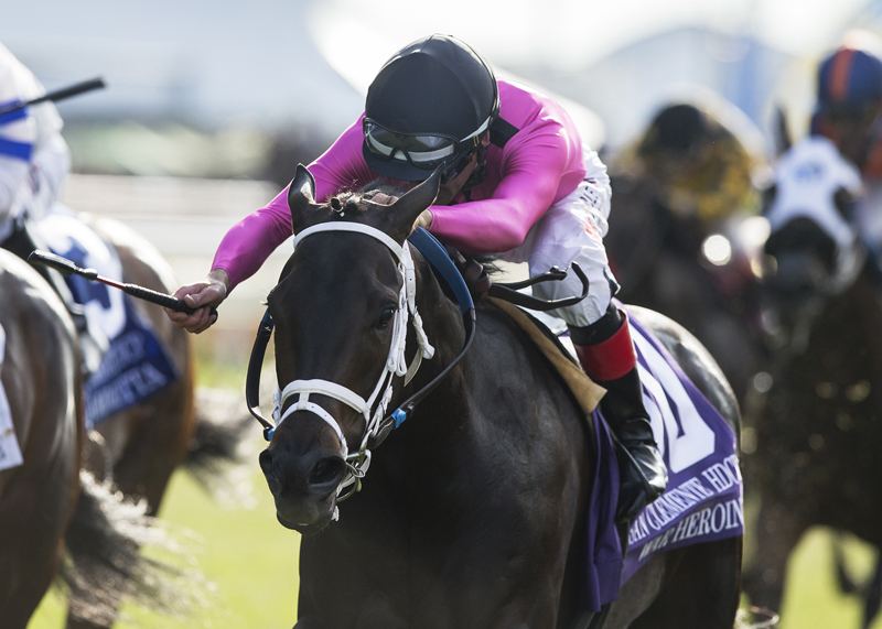 San Clemente Stakes Quotes
